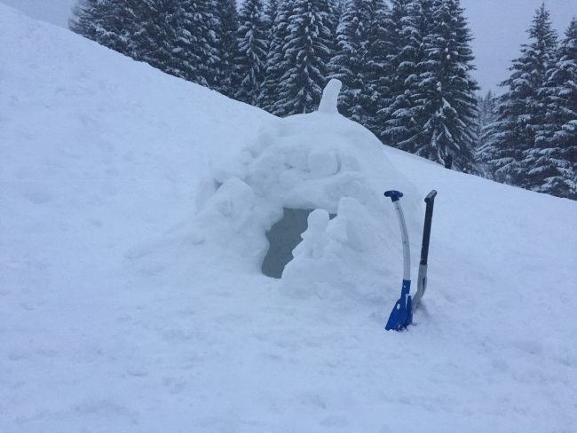 IGLU
